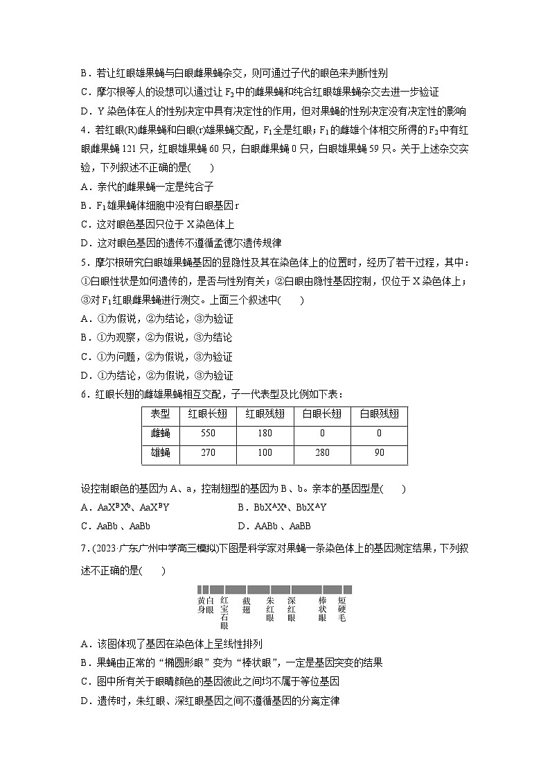 2024届高三生物一轮复习基础夯实练28：基因在染色体上的假说与证据第2页