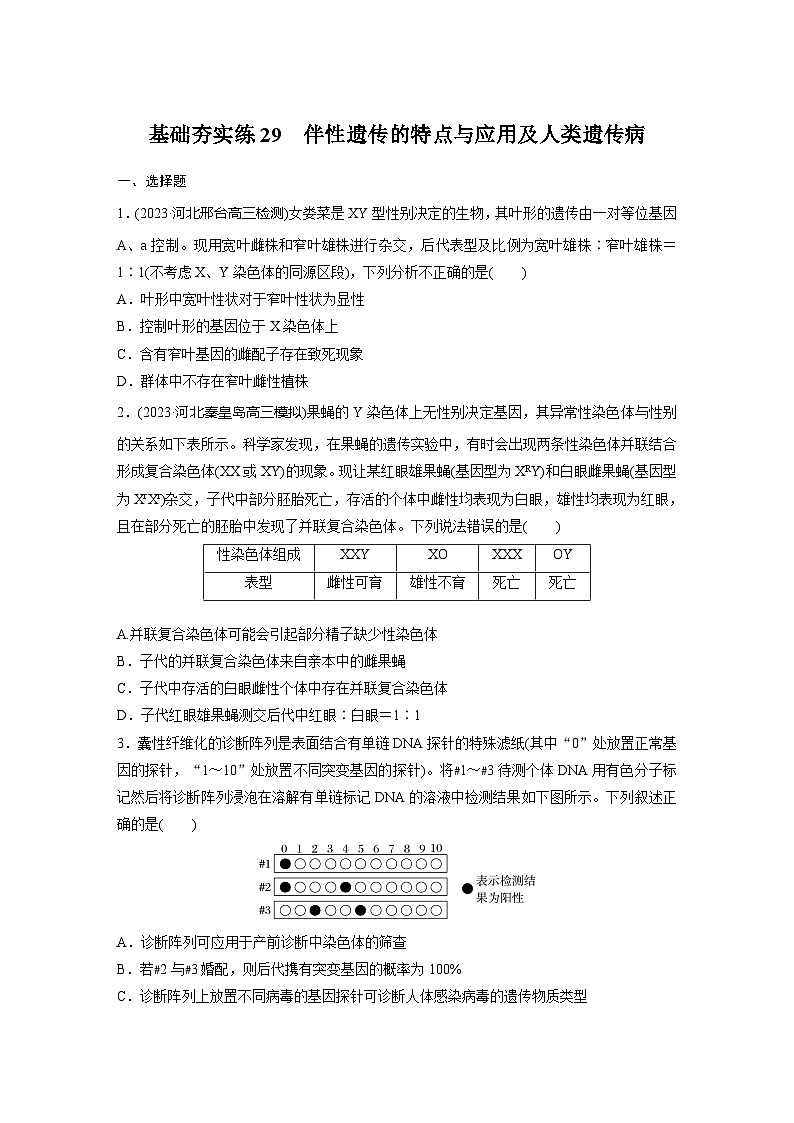 2024届高三生物一轮复习基础夯实练29：伴性遗传的特点与应用及人类遗传病第1页