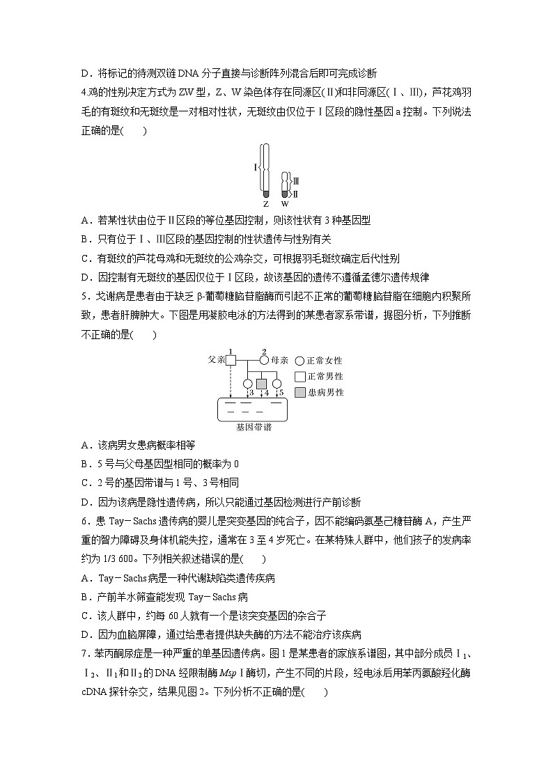 2024届高三生物一轮复习基础夯实练29：伴性遗传的特点与应用及人类遗传病第2页
