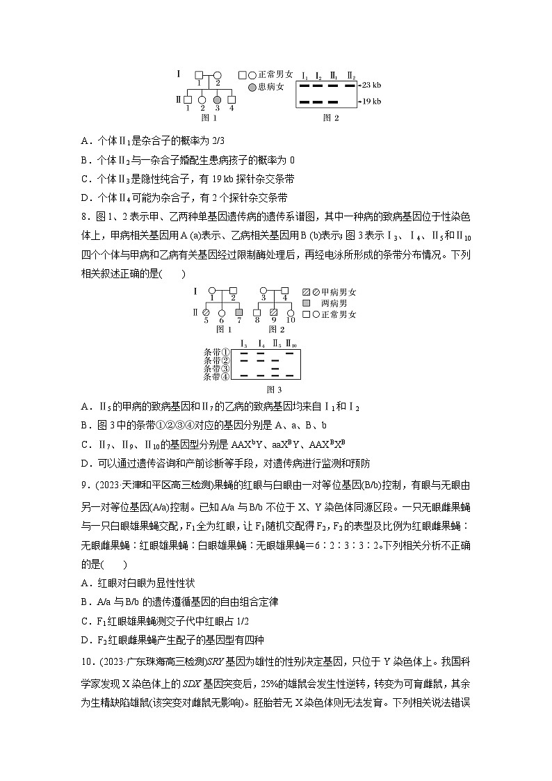 2024届高三生物一轮复习基础夯实练29：伴性遗传的特点与应用及人类遗传病第3页