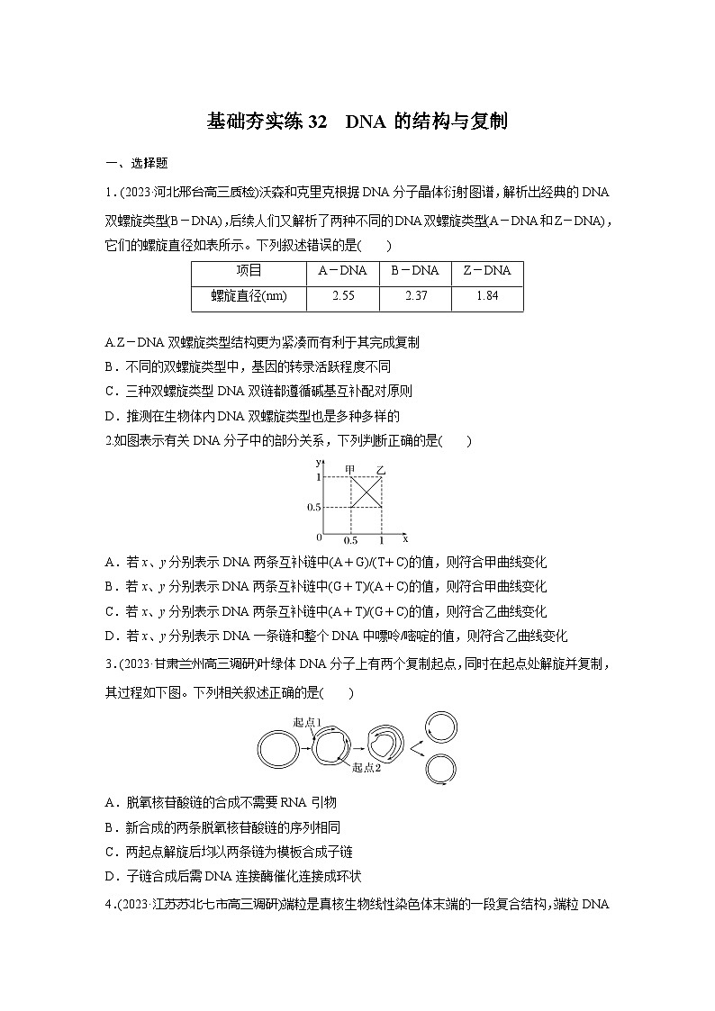 2024届高三生物一轮复习基础夯实练32：DNA的结构与复制第1页