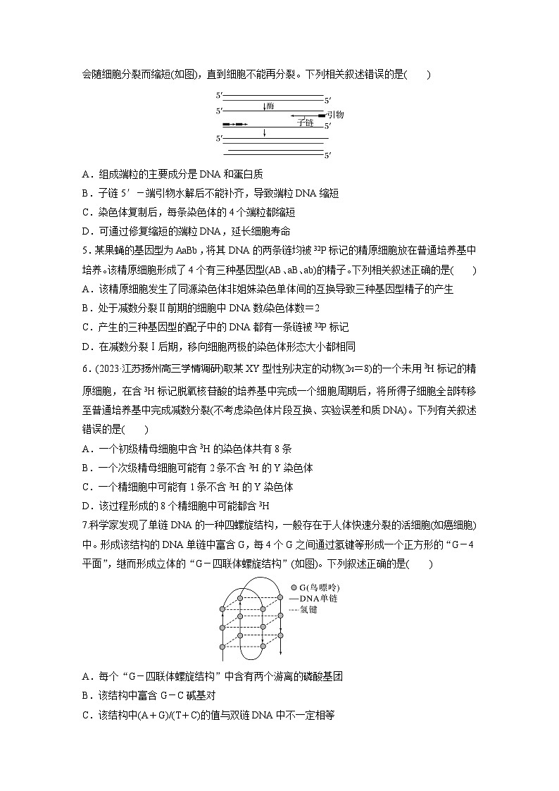 2024届高三生物一轮复习基础夯实练32：DNA的结构与复制第2页