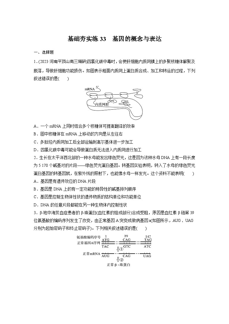 2024届高三生物一轮复习基础夯实练33：基因的概念与表达第1页