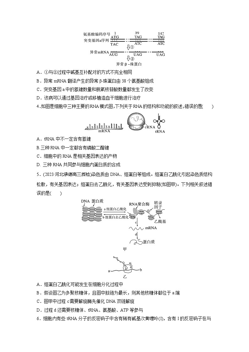 2024届高三生物一轮复习基础夯实练33：基因的概念与表达第2页