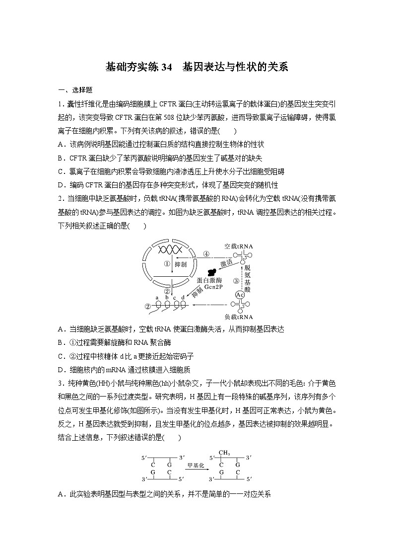 2024届高三生物一轮复习基础夯实练34：基因表达与性状的关系第1页