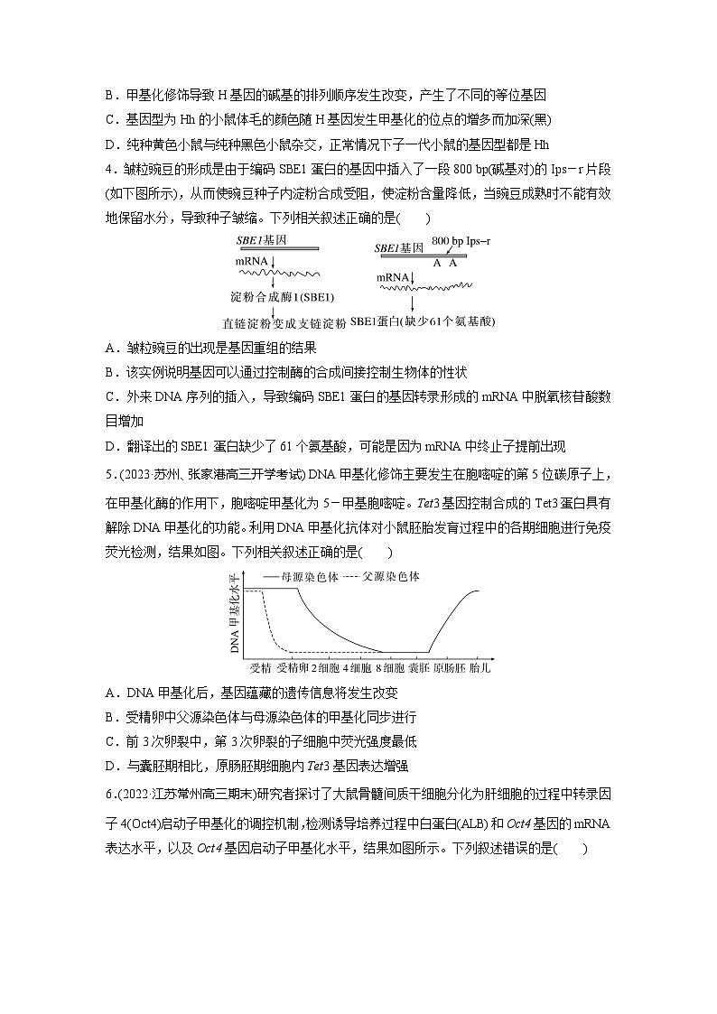 2024届高三生物一轮复习基础夯实练34：基因表达与性状的关系第2页