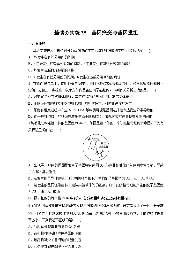 2024届高三生物一轮复习基础夯实练35：基因突变与基因重组第1页