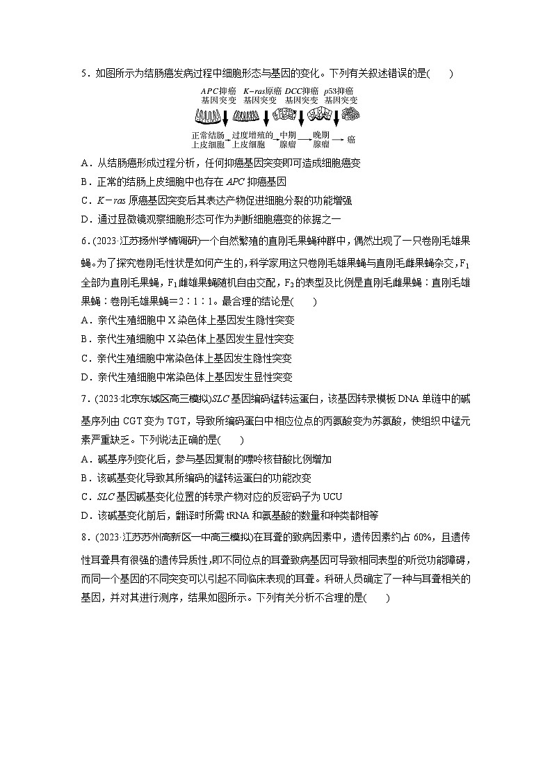 2024届高三生物一轮复习基础夯实练35：基因突变与基因重组第2页