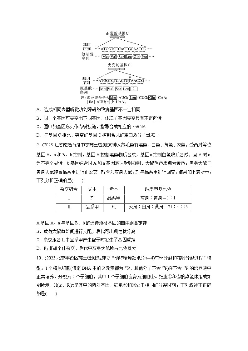 2024届高三生物一轮复习基础夯实练35：基因突变与基因重组第3页