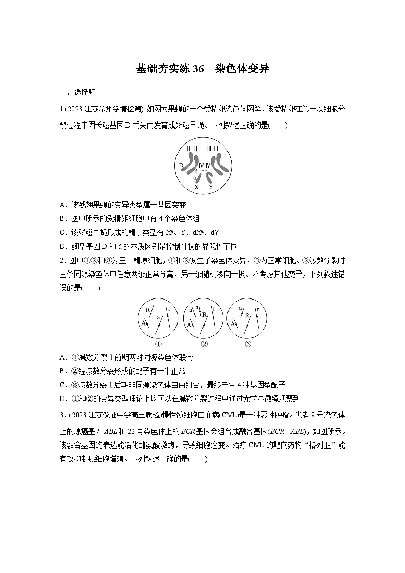 2024届高三生物一轮复习基础夯实练36：染色体变异第1页