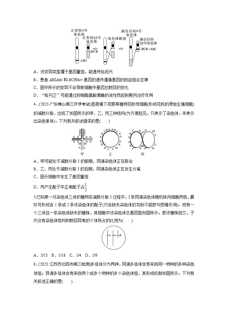 2024届高三生物一轮复习基础夯实练36：染色体变异第2页