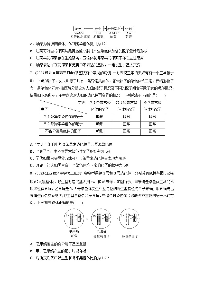 2024届高三生物一轮复习基础夯实练36：染色体变异第3页