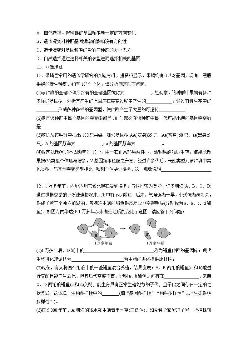 2024届高三生物一轮复习基础夯实练37：生物的进化第3页