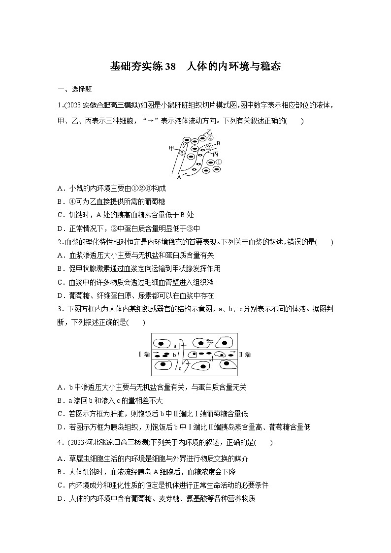 2024届高三生物一轮复习基础夯实练38：人体的内环境与稳态第1页