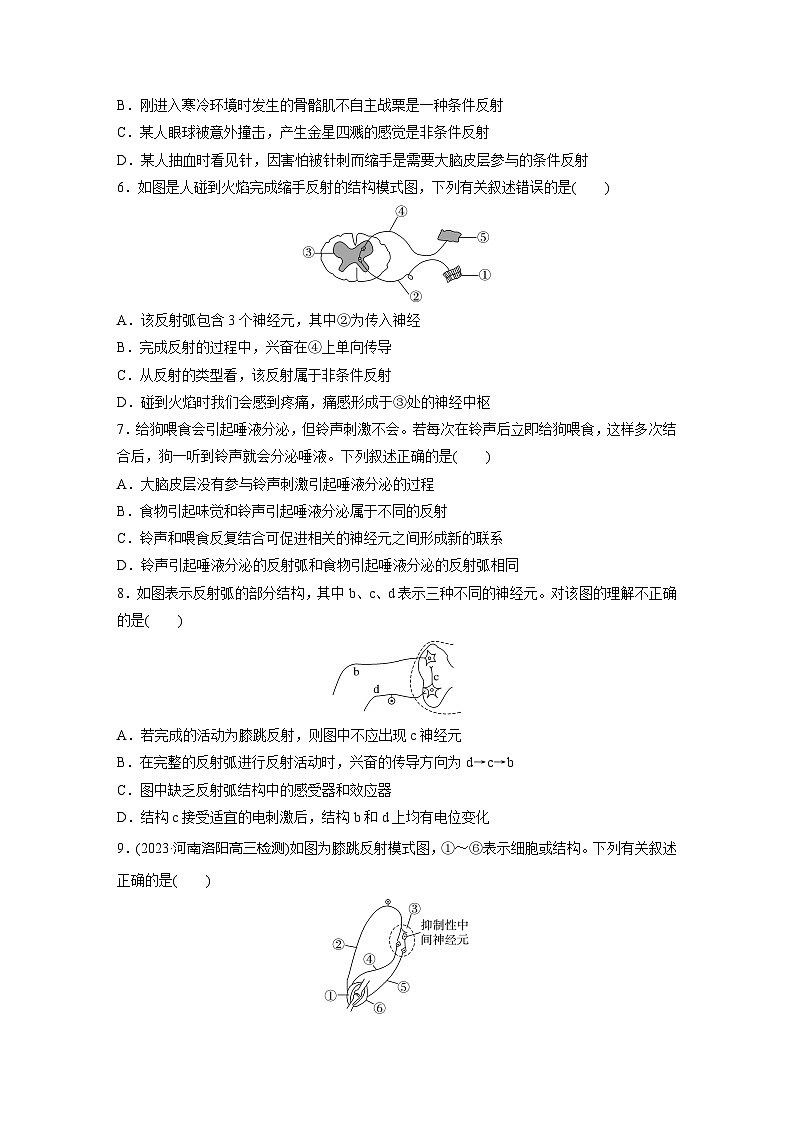 2024届高三生物一轮复习基础夯实练39：神经调节的结构基础及基本方式第2页