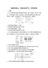 2024届高三生物一轮复习基础夯实练40：神经冲动的产生、传导和传递