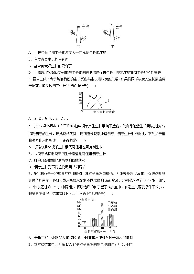 2024届高三生物一轮复习基础夯实练46：植物生长素及其生理作用第2页