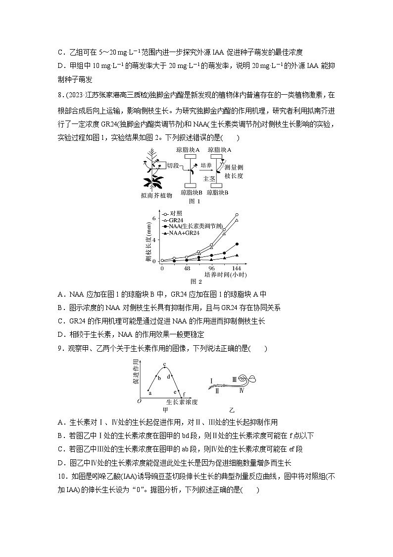 2024届高三生物一轮复习基础夯实练46：植物生长素及其生理作用第3页