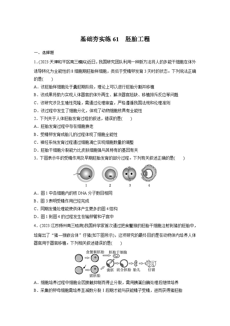 2024届高三生物一轮复习基础夯实练61：胚胎工程第1页