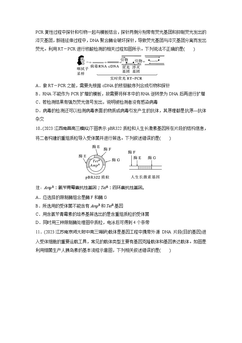2024届高三生物一轮复习基础夯实练62：基因工程的基本工具和基本操作程序03