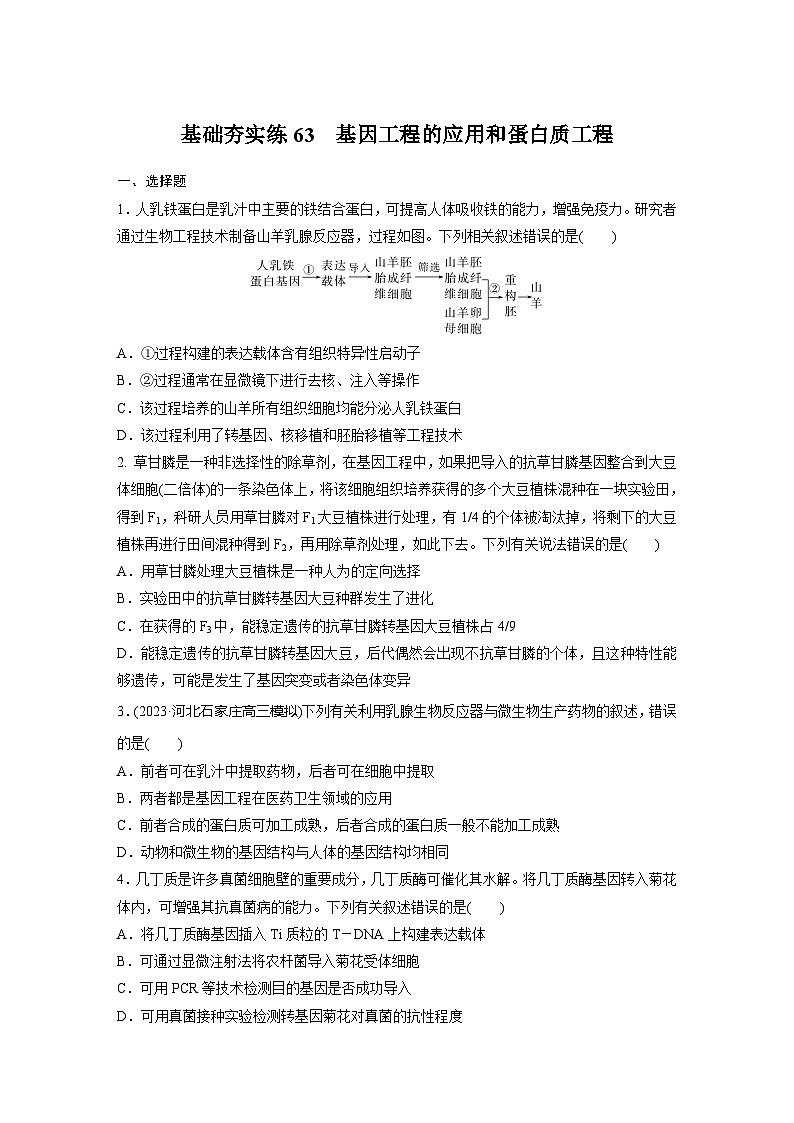 2024届高三生物一轮复习基础夯实练63：基因工程的应用和蛋白质工程第1页