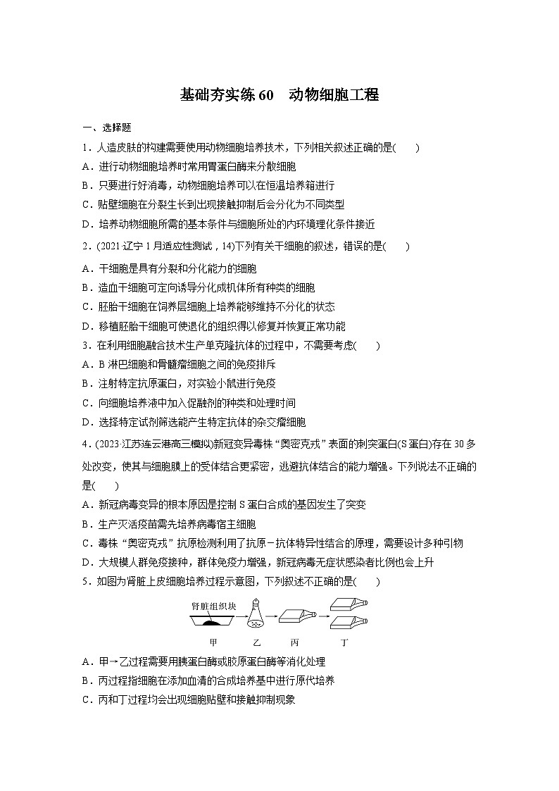 2024届高三生物一轮复习基础夯实练60：动物细胞工程第1页