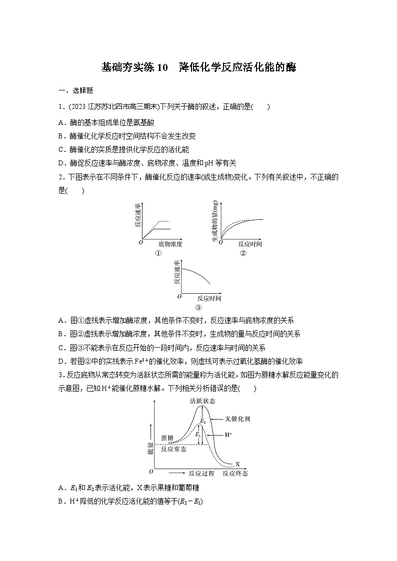 2024届高三生物一轮复习基础夯实练10：降低化学反应活化能的酶第1页