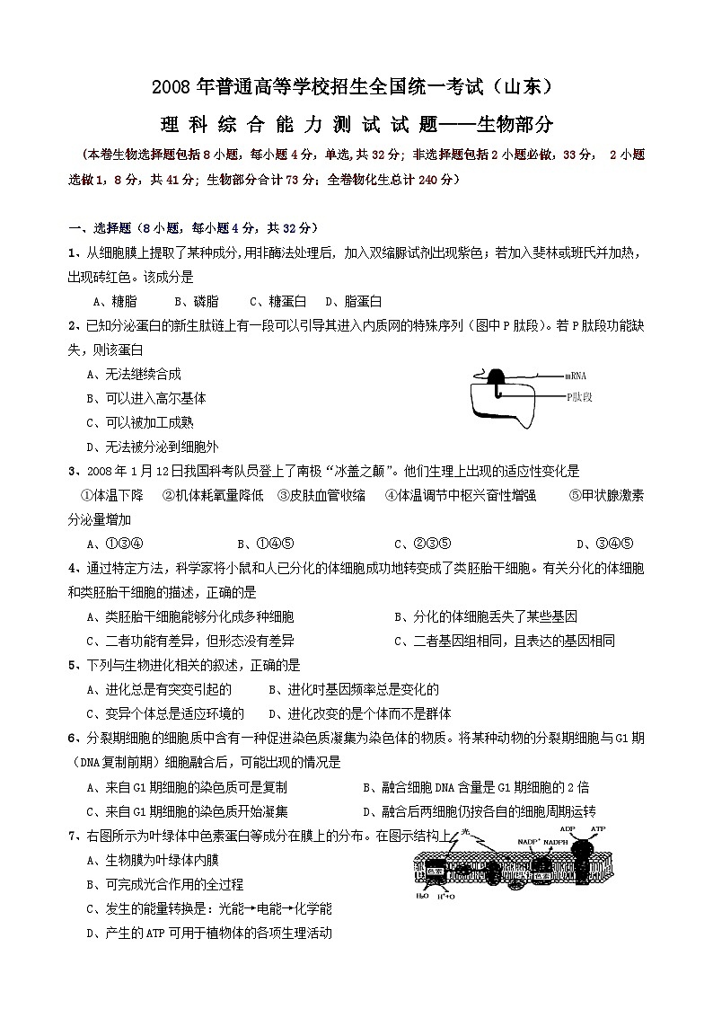 2008年山东高考生物真题试卷(含答案)01
