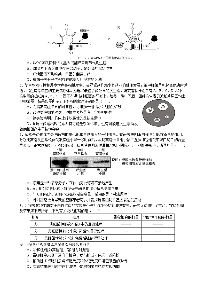 2023届辽宁省沈阳市第二中学高三下学期第六次模拟考试生物试题word版第3页
