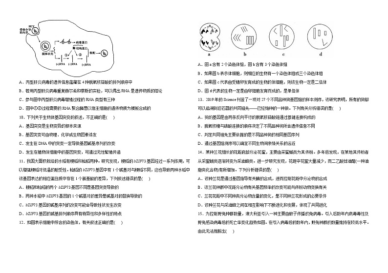 河南省新乡市第一中学2022-2023学年高一下期6月月考生物试题第2页