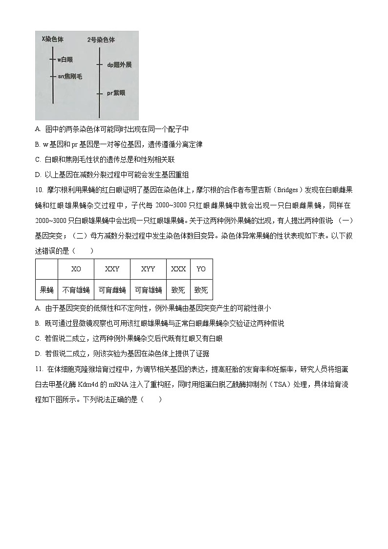 精品解析：2023届福建省泉州市德化一中、永安一中、漳平一中三校协作高三5月高考适应性考试生物试题（原卷版）03