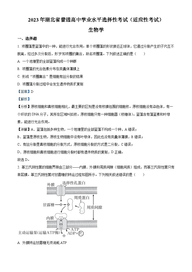精品解析：2023届湖北省天门市高三5月适应性考试生物试题（解析版）第1页