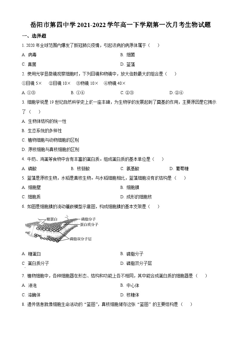 精品解析：湖南省岳阳市四中2021-2022学年高一下学期第一次月考生物试题（原卷版）01