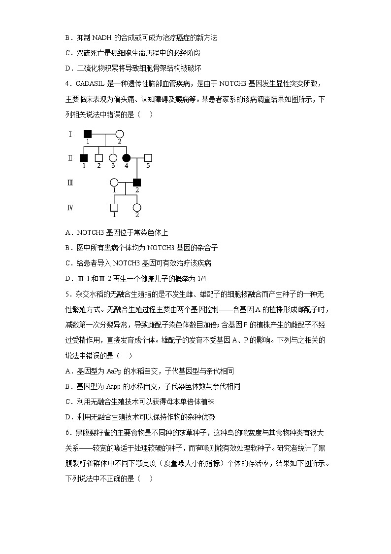 2023届北京大学附属中学高三调研测试生物试题（含解析）第2页