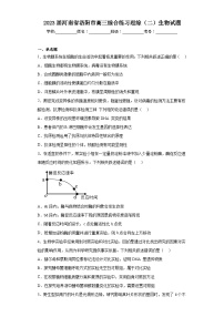 2023届河南省洛阳市高三综合练习理综（二）生物试题（含解析）