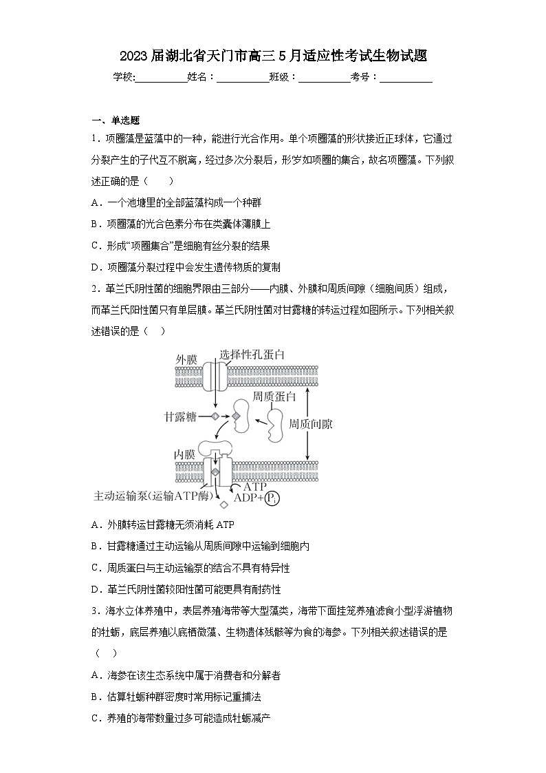 2023届湖北省天门市高三5月适应性考试生物试题（含解析）第1页