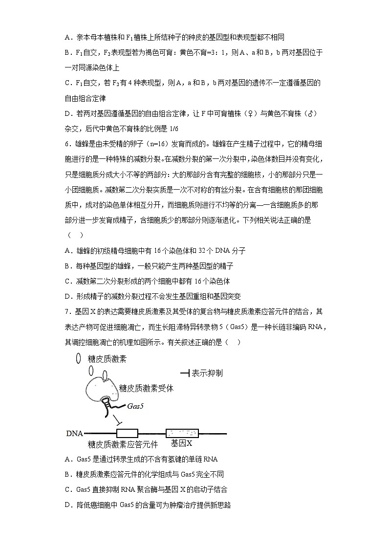 2023届江苏省南京市九中高三考前冲刺生物试题（含解析）03