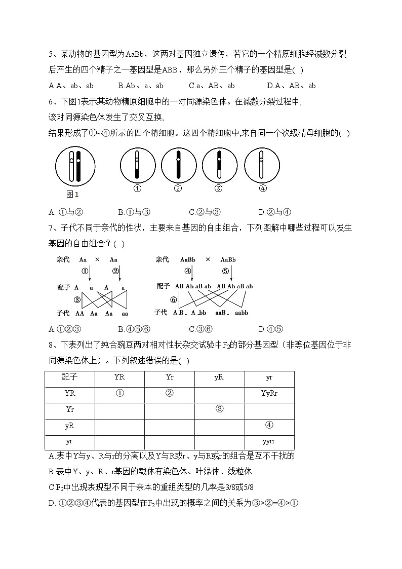 山东省新泰市第一中学2022-2023学年高一下学期第一次质量检测生物试卷（含答案）02
