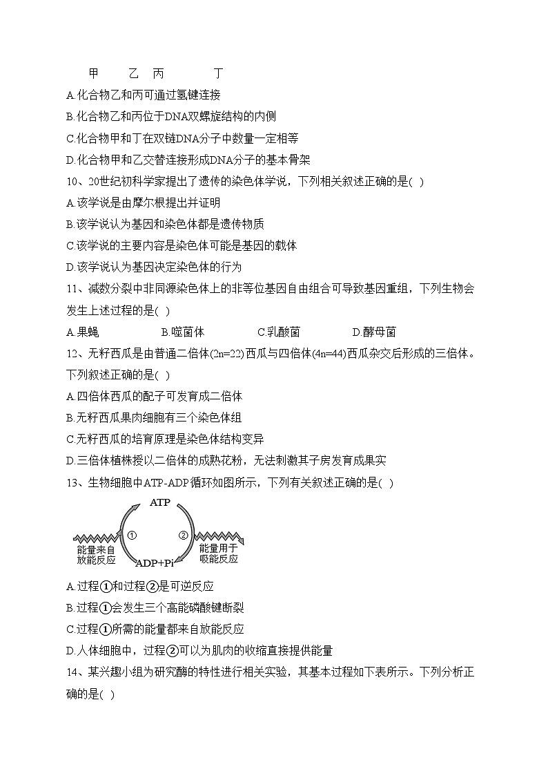浙江省台州市名校2022-2023学年高一下学期期中联考生物试卷（含答案）03