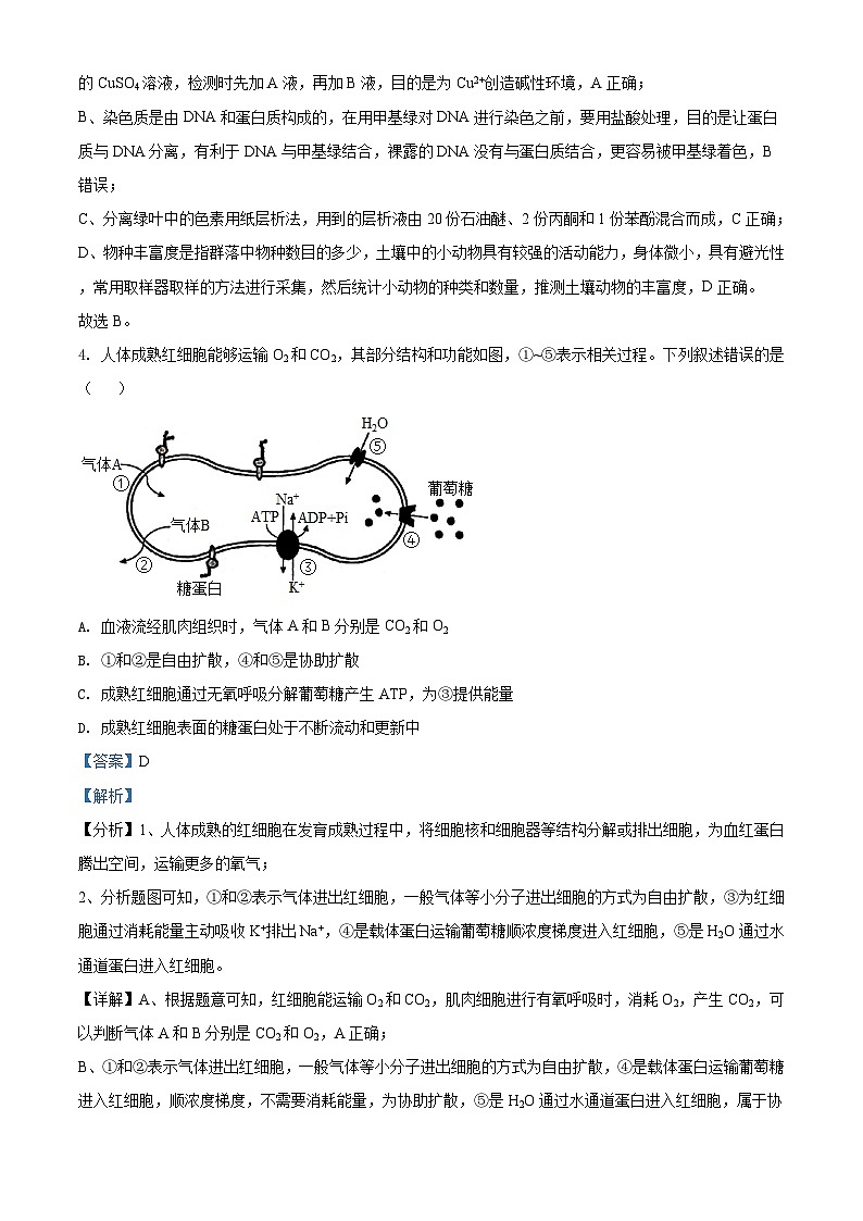 2021年河北高考生物试卷（新高考）（解析版）A4 Word版03