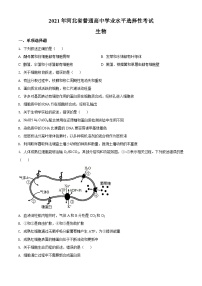 2021年河北高考生物试卷（新高考）（原卷版）A4 Word版