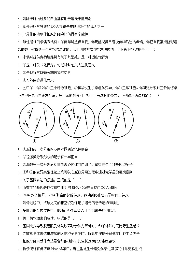 2021年河北高考生物试卷（新高考）（原卷版）A4 Word版第2页