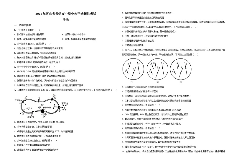 2021年河北高考生物试卷（新高考）（原卷版）A3 Word版第1页