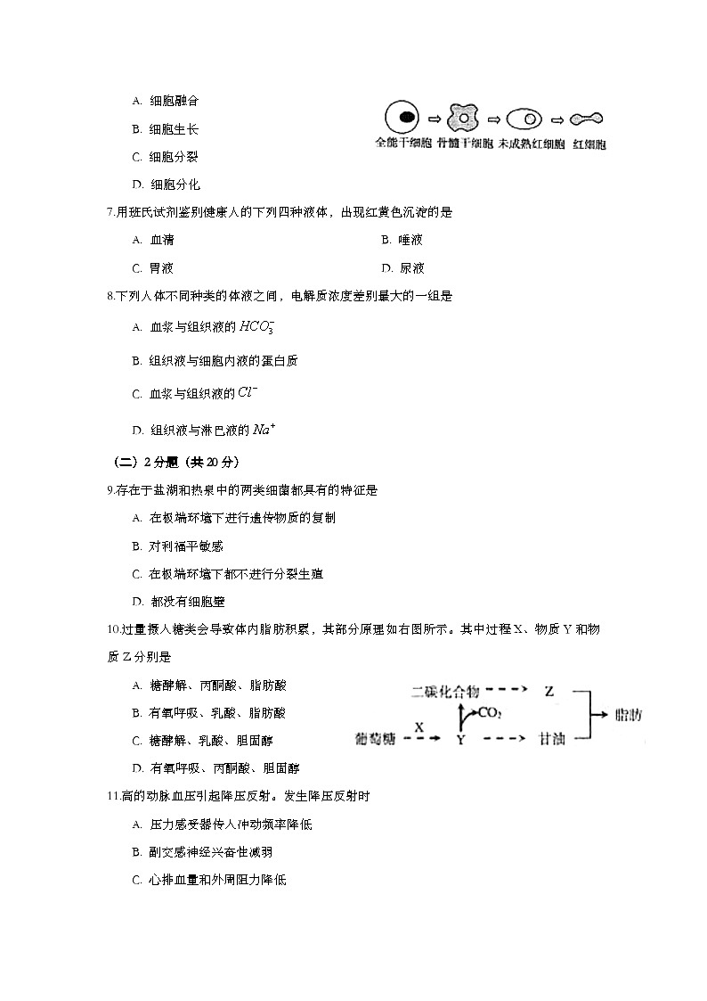 2009年上海市高中毕业统一学业考试生物试卷（word版）第2页