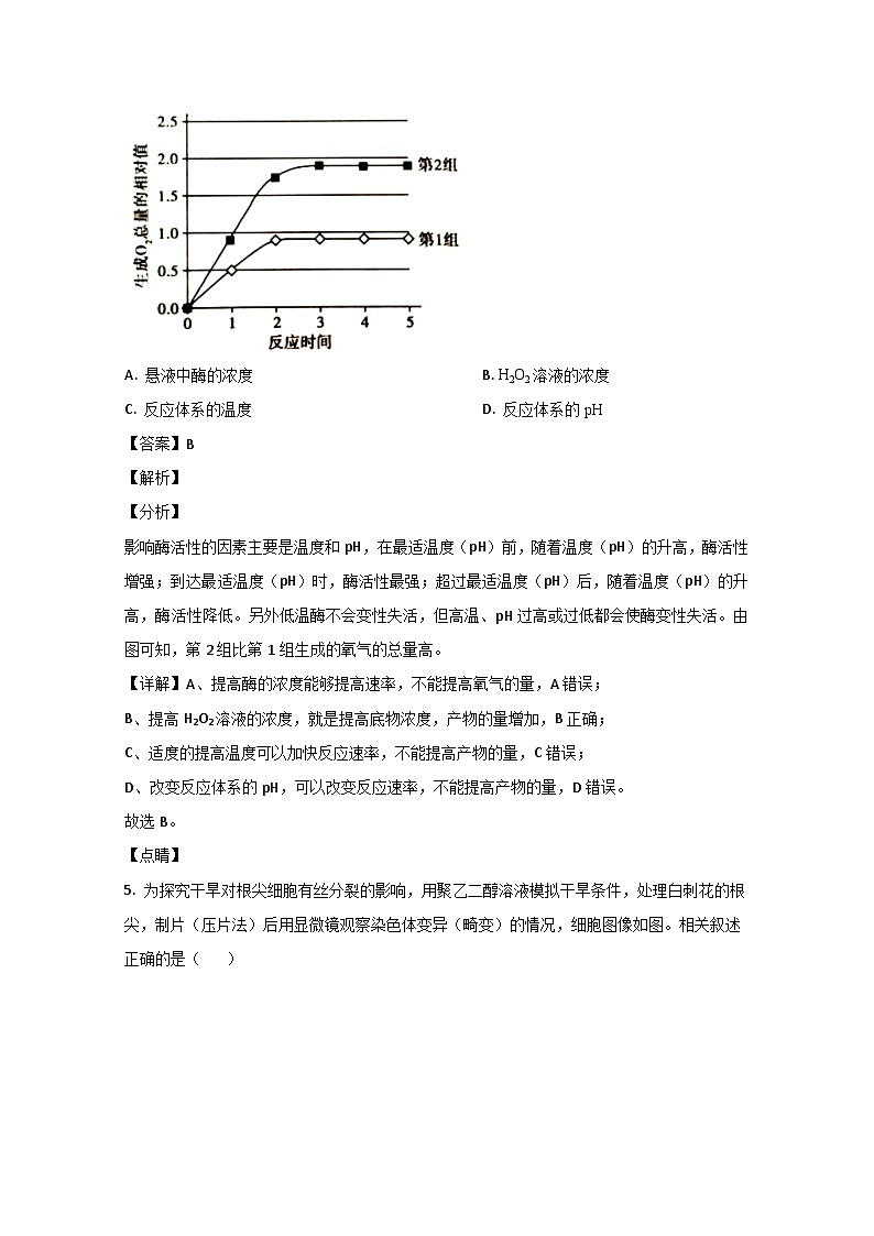 2020年北京市高考生物试卷（含解析版）03