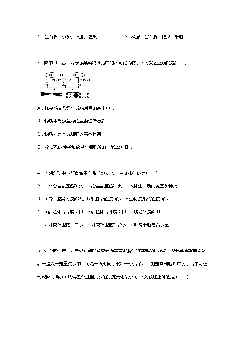 2023年衡水中学新高二开学检测卷生物试题 02第2页