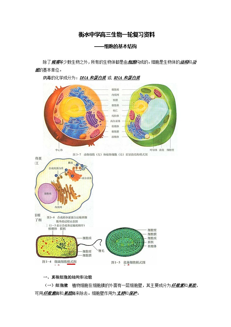 02 衡水中学高三生物一轮复习资料——细胞的基本结构第1页