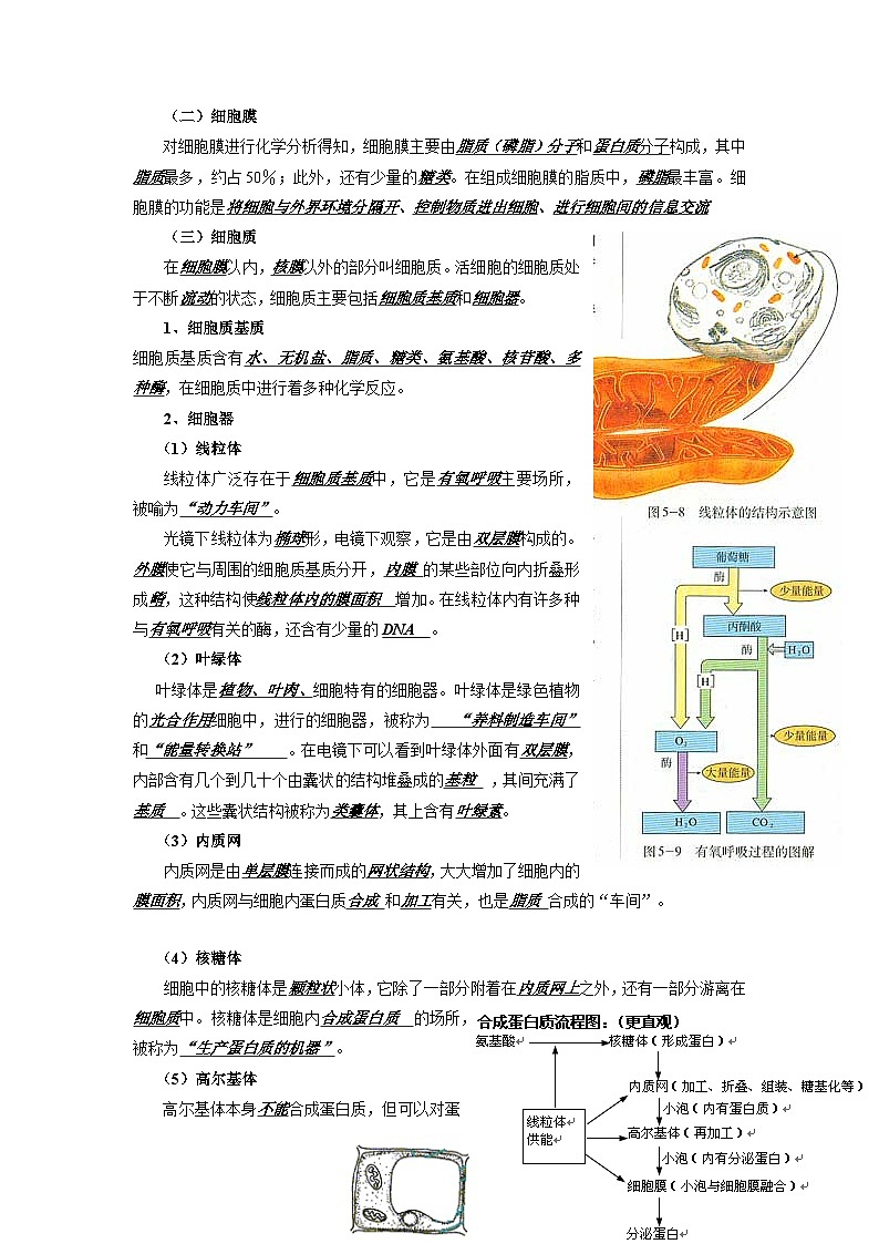 02 衡水中学高三生物一轮复习资料——细胞的基本结构第2页