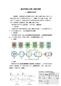 03 衡水中学高三生物一轮复习资料——细胞的生命历程