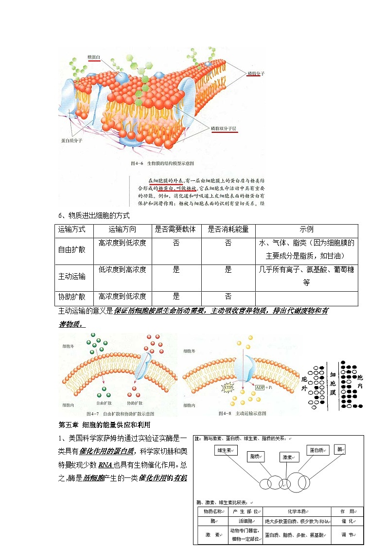 04 衡水中学高三生物一轮复习资料——细胞的物质输入和输出第2页